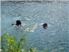 Two Divers Taking Training