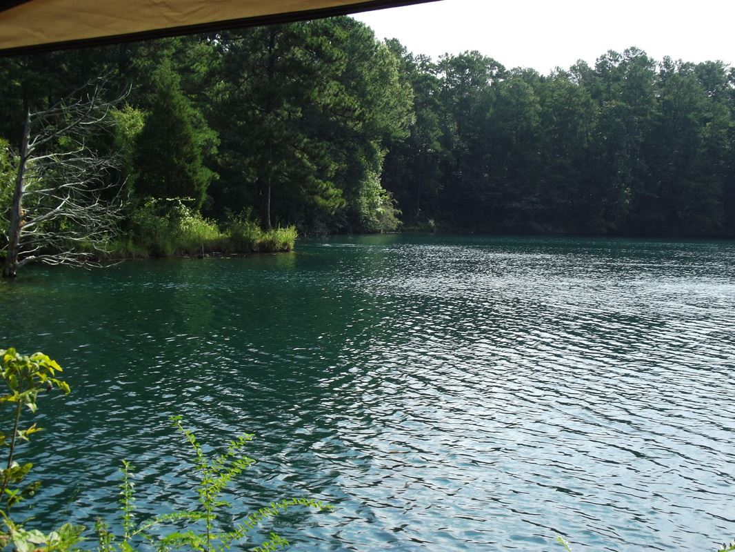 Lake Logan Martin View