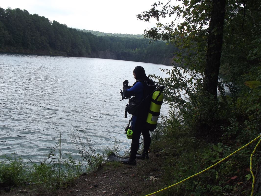 Diver Getting Ready for Diving
