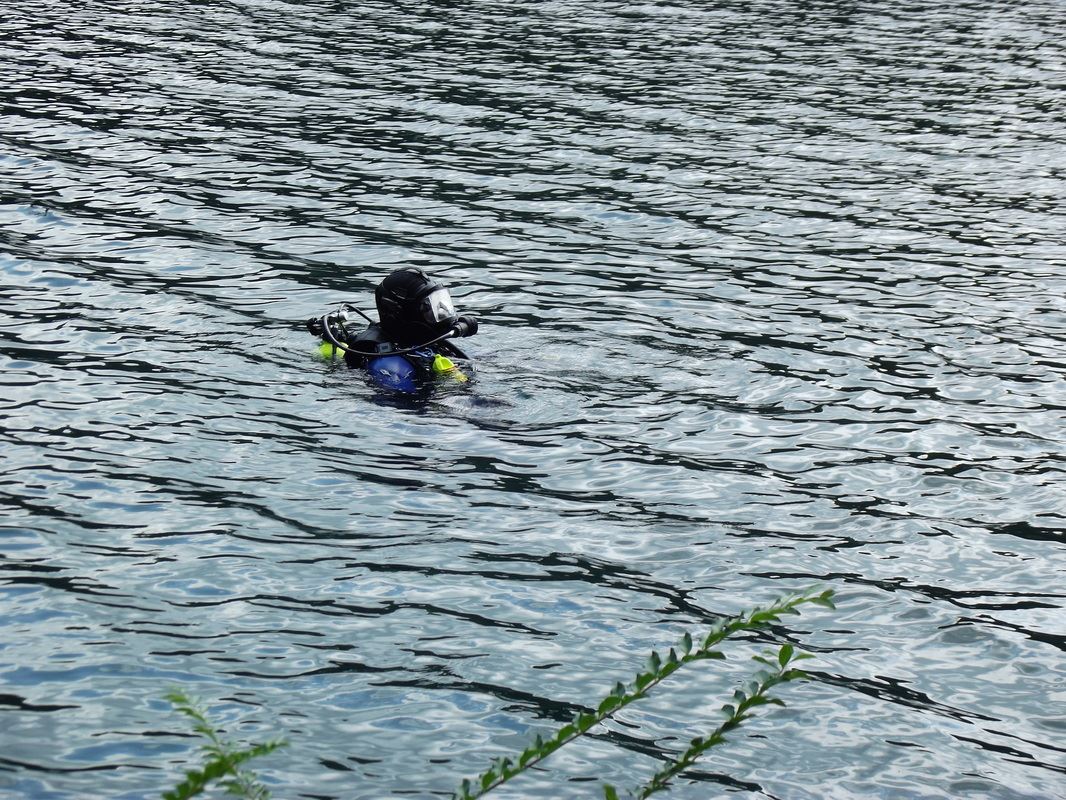 Divers Taking Training in the Lake 