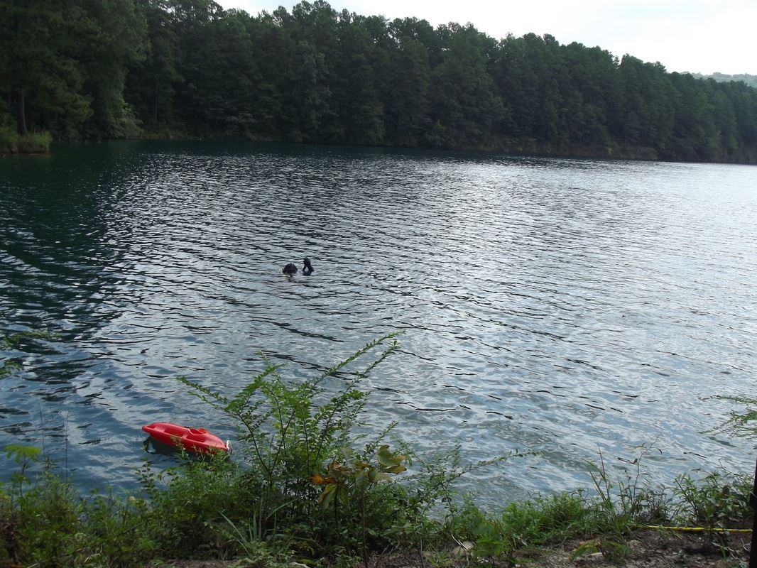 Divers Taking Training